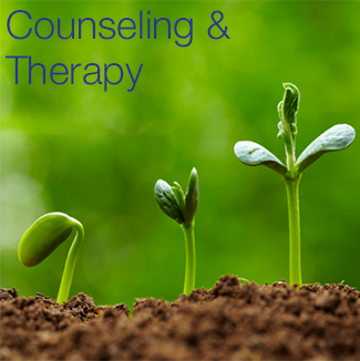 Counseling1